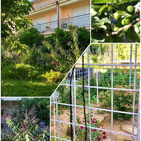 Amigo Comfort Lägenhet *